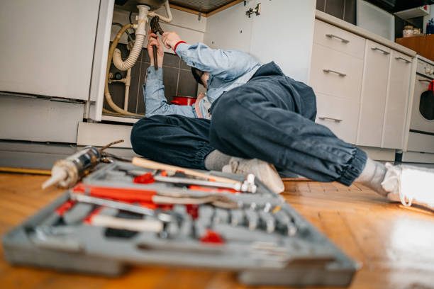 Best Residential Plumbing Services  in Roma, TX