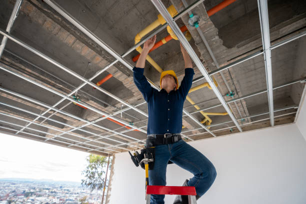 Best Emergency Plumber  in Roma, TX