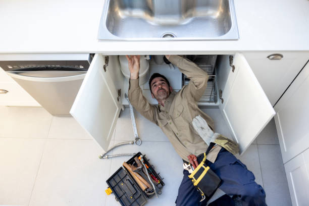 Best Plumbing Services Near Me  in Roma, TX