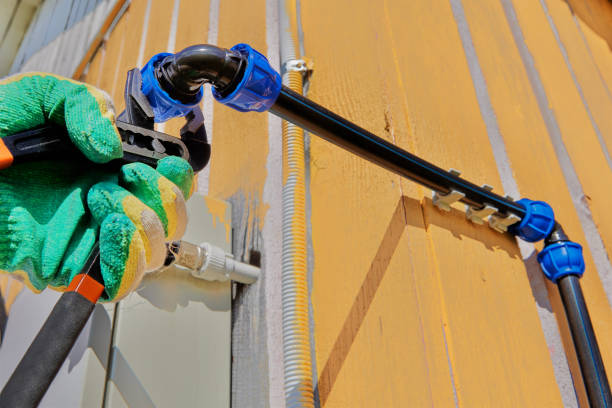 Trusted Roma, TX Plumbing Experts